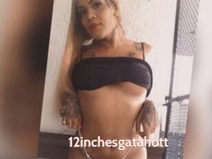 12inchesgatahott