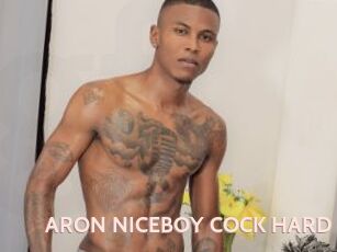 ARON_NICEBOY_COCK_HARD