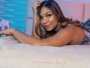 AmeliaBridge