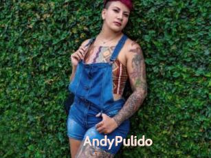 AndyPulido