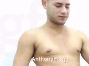 Anthonyhorny