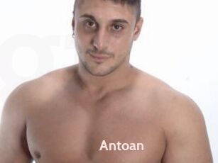 Antoan