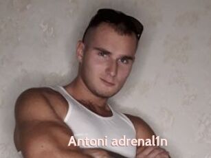 Antoni_adrenal1n