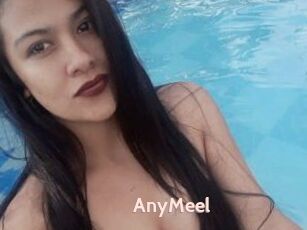 AnyMeel