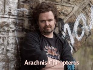 Arachnis_Chiropterus