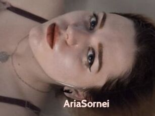 AriaSornei