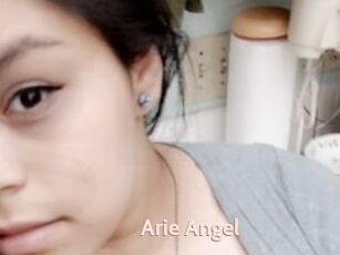 Arie_Angel