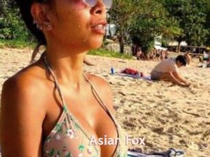 Asian_Fox
