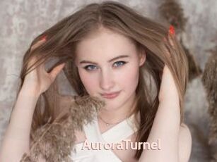 AuroraTurnel