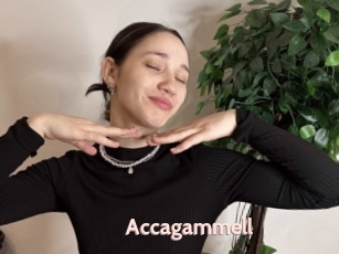 Accagammell