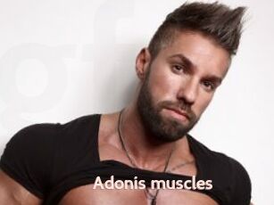 Adonis_muscles