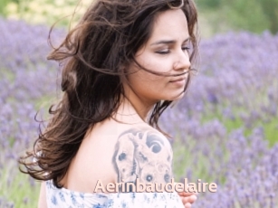 Aerinbaudelaire