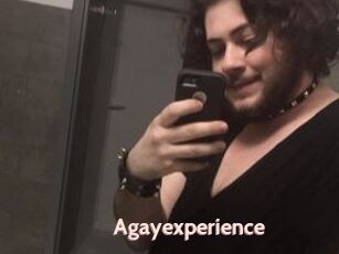 Agayexperience
