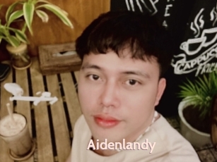 Aidenlandy