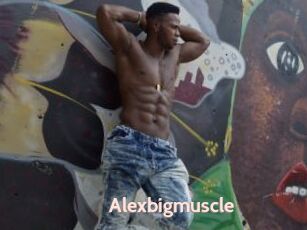 Alexbigmuscle