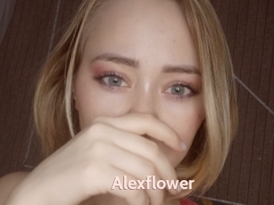 Alexflower