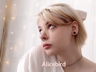 Alicebird