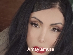 Amaylamusa