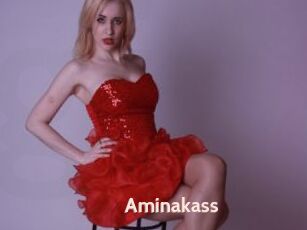 Aminakass