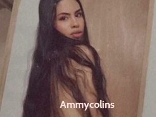 Ammycolins