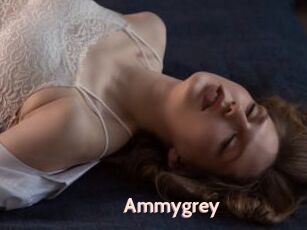 Ammygrey