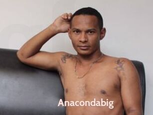 Anacondabig