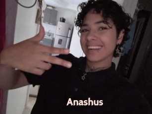 Anashus