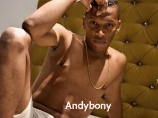 Andybony