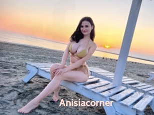 Anisiacorner