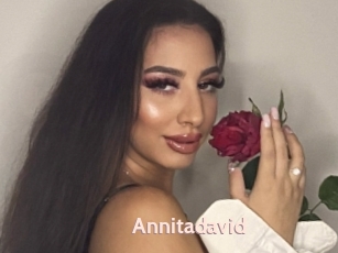 Annitadavid