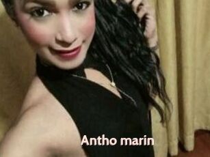 Antho_marin