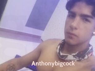 Anthonybigcock