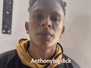 Anthonybigdick