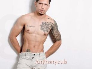 Anthonycub