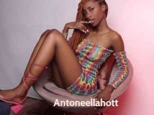 Antoneellahott