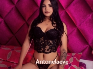Antonelaeve