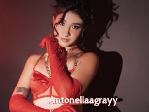 Antonellaagrayy