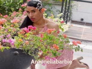 Antonellabarbie