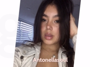 Antonellasoul