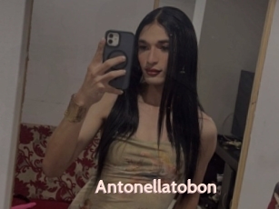 Antonellatobon