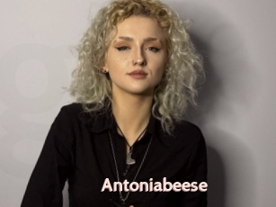 Antoniabeese