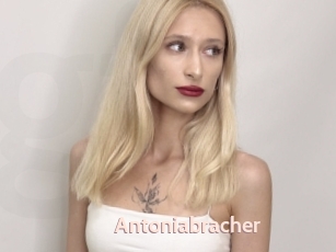 Antoniabracher