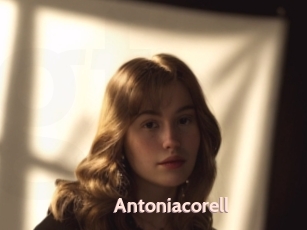 Antoniacorell
