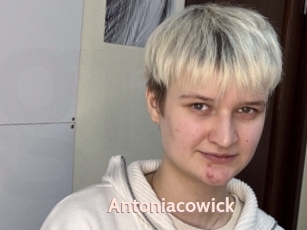 Antoniacowick