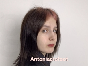 Antoniacrofoot