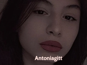 Antoniagitt