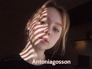 Antoniagosson