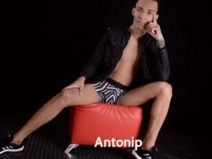 Antonip