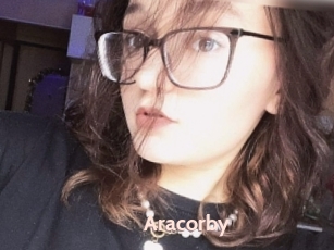 Aracorby