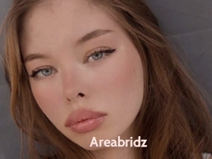 Areabridz